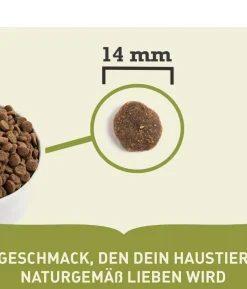 ACANA Trockenfutter für Hunde Singles Dog Yorkshire Pork