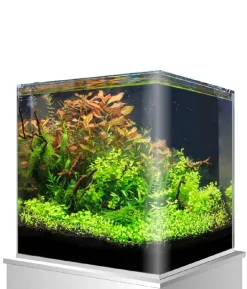 amtra Aquarium Nanotank
