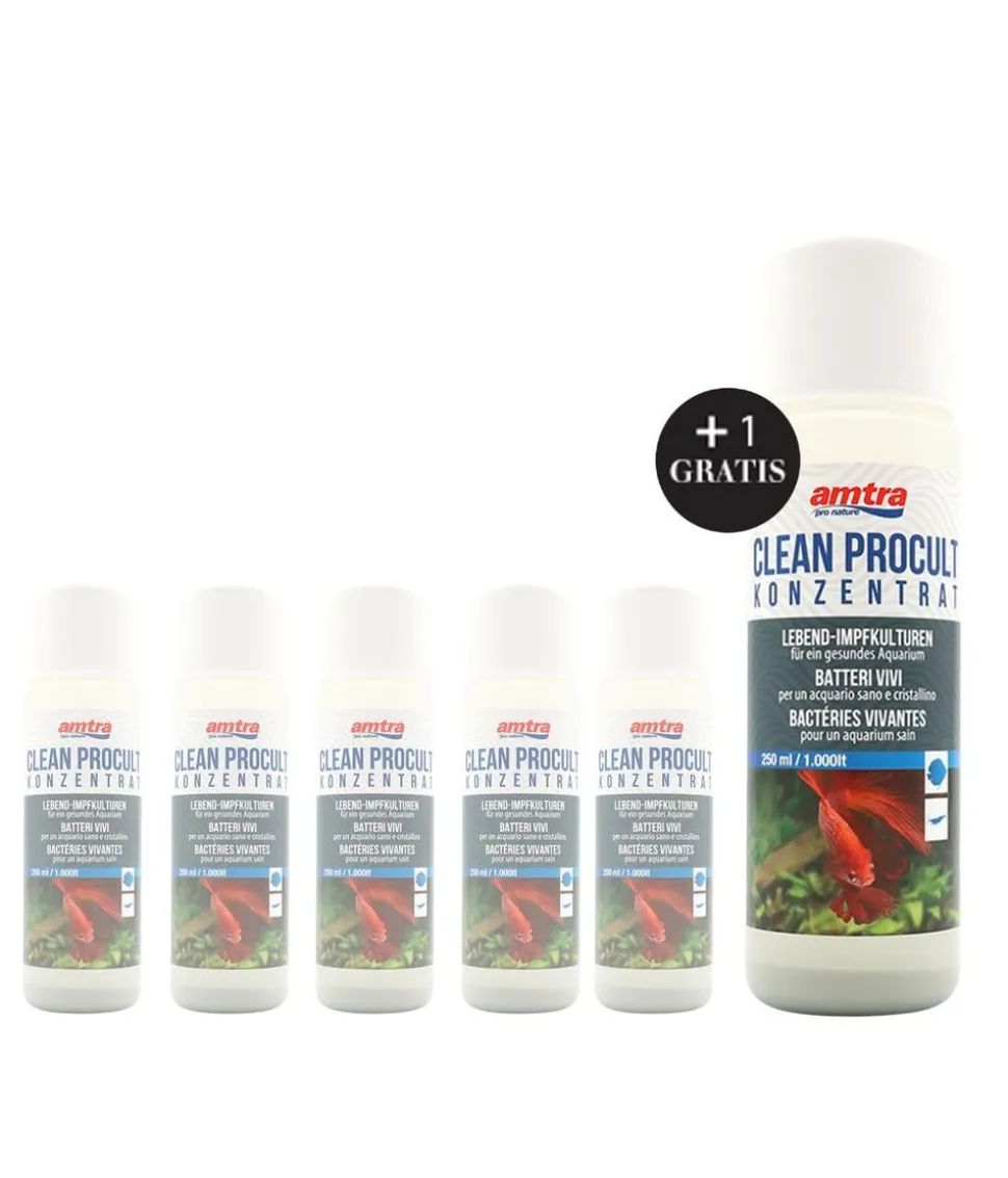 amtra Wasseraufbereiter Clean Procult Konzentrat, 5+1 x 250 ml
