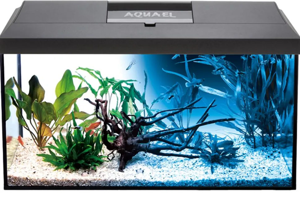 AQUAEL Aquarien-Set Leddy Day & Night 60 2.0, 54 l, ca. B60/H30/T30 cm