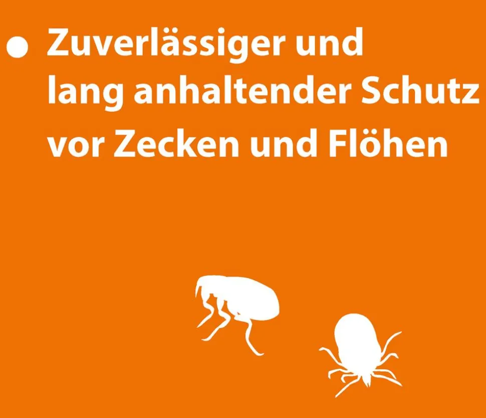 ARDAP® Zecken- und Flohschutz Spot-On für kleine Hunde, 3 x 1 ml