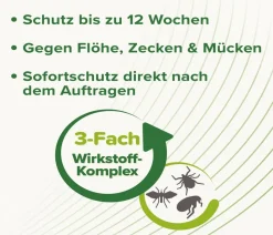 beaphar Zecken- & Flohschutz SPOT-ON für Katzen, 3x0,8 ml
