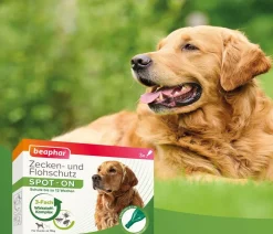 beaphar Zecken- & Flohschutz SPOT-ON für Hunde, 3x2 ml