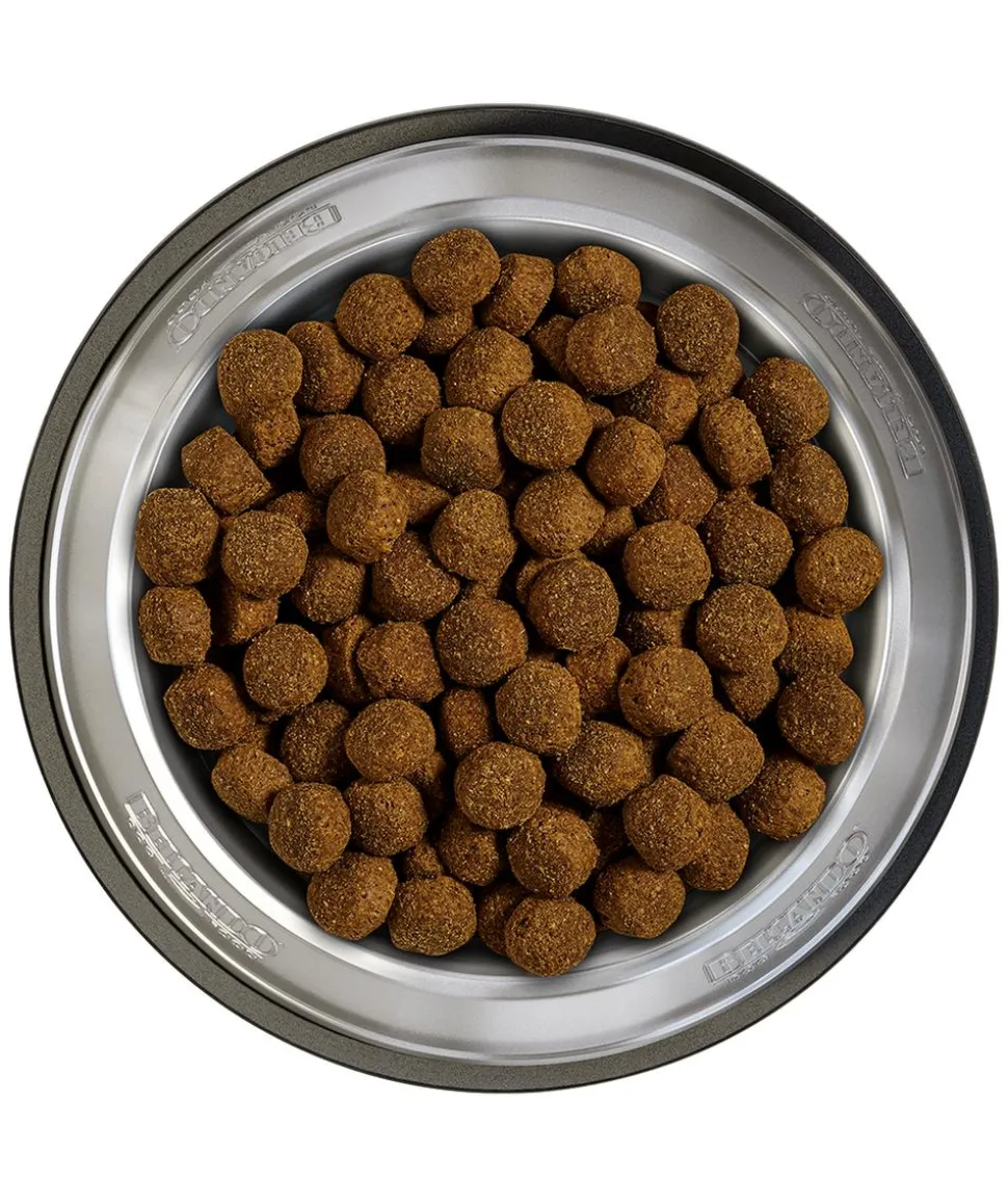BELCANDO® Trockenfutter für Hunde Baseline Ranger Adult, Rind, 12,5 kg