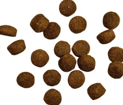 BELCANDO® Trockenfutter für Hunde Baseline Ranger Adult, Rind, 12,5 kg
