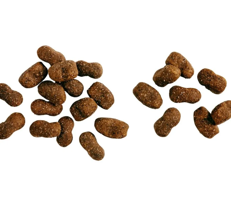 BELCANDO® Trockenfutter für Hunde Baseline Young, Junior, Geflügel, 12,5 kg