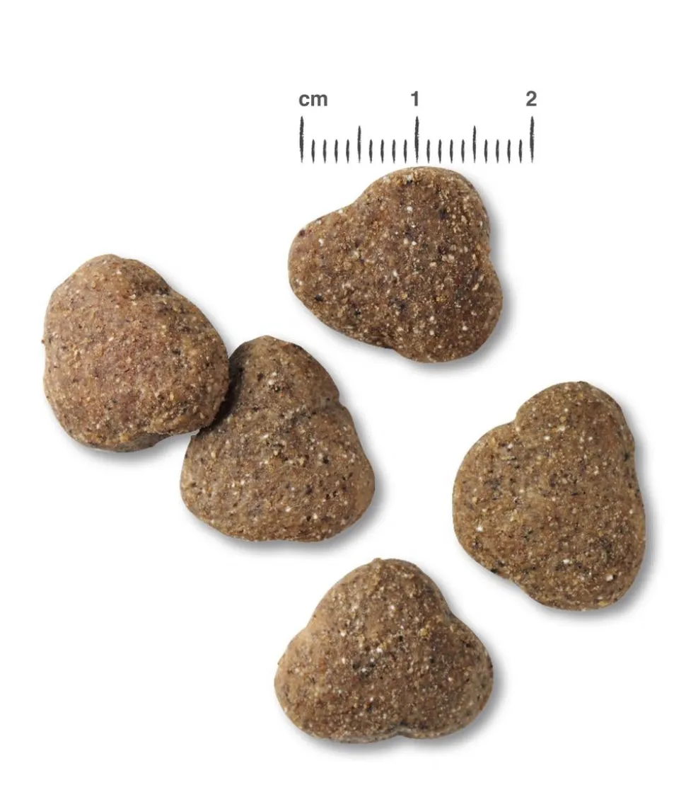 BELCANDO® Trockenfutter für Hunde Adult Light