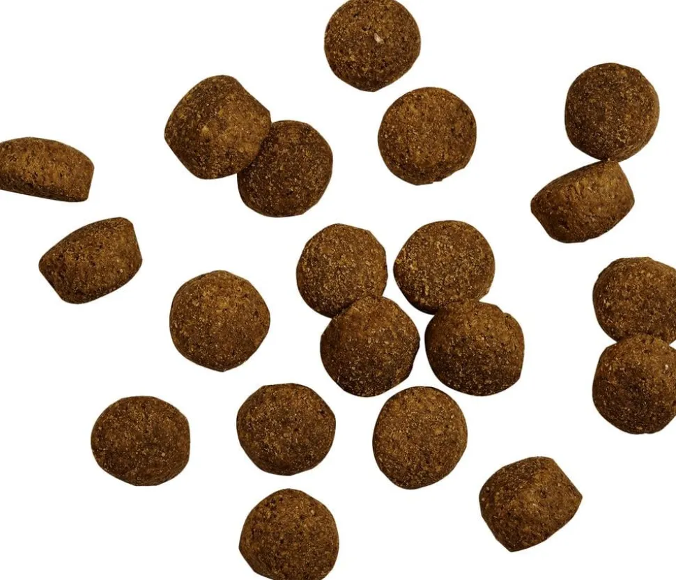BELCANDO® Trockenfutter für Hunde Baseline Oldie & Light Adult/Senior, Geflügel, 12,5 kg