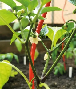 bellissa Stahl-Tomatenspirale Colorata