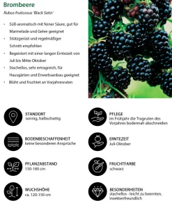 Bio Beeren-Set Bunter Obstgarten, 5-teilig