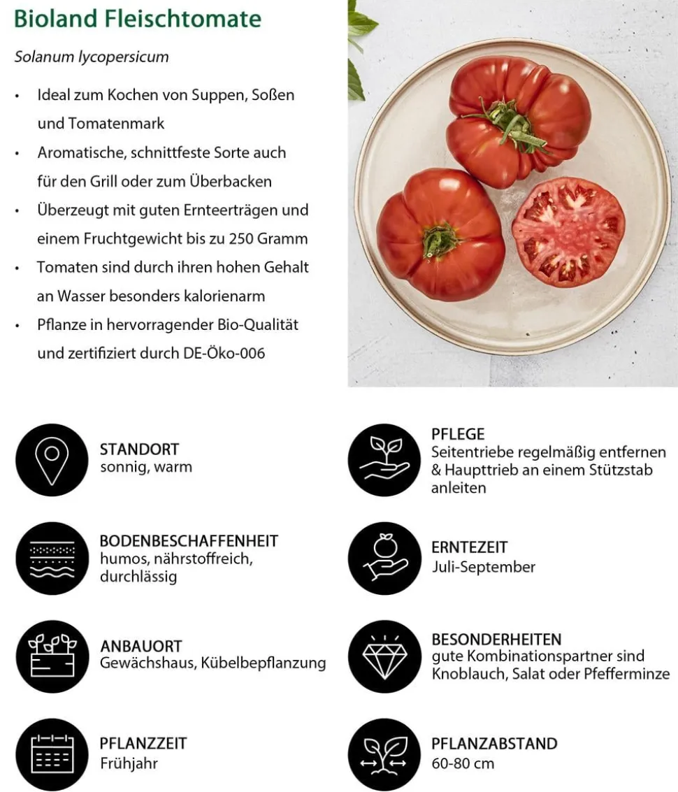 Bioland Fleischtomate
