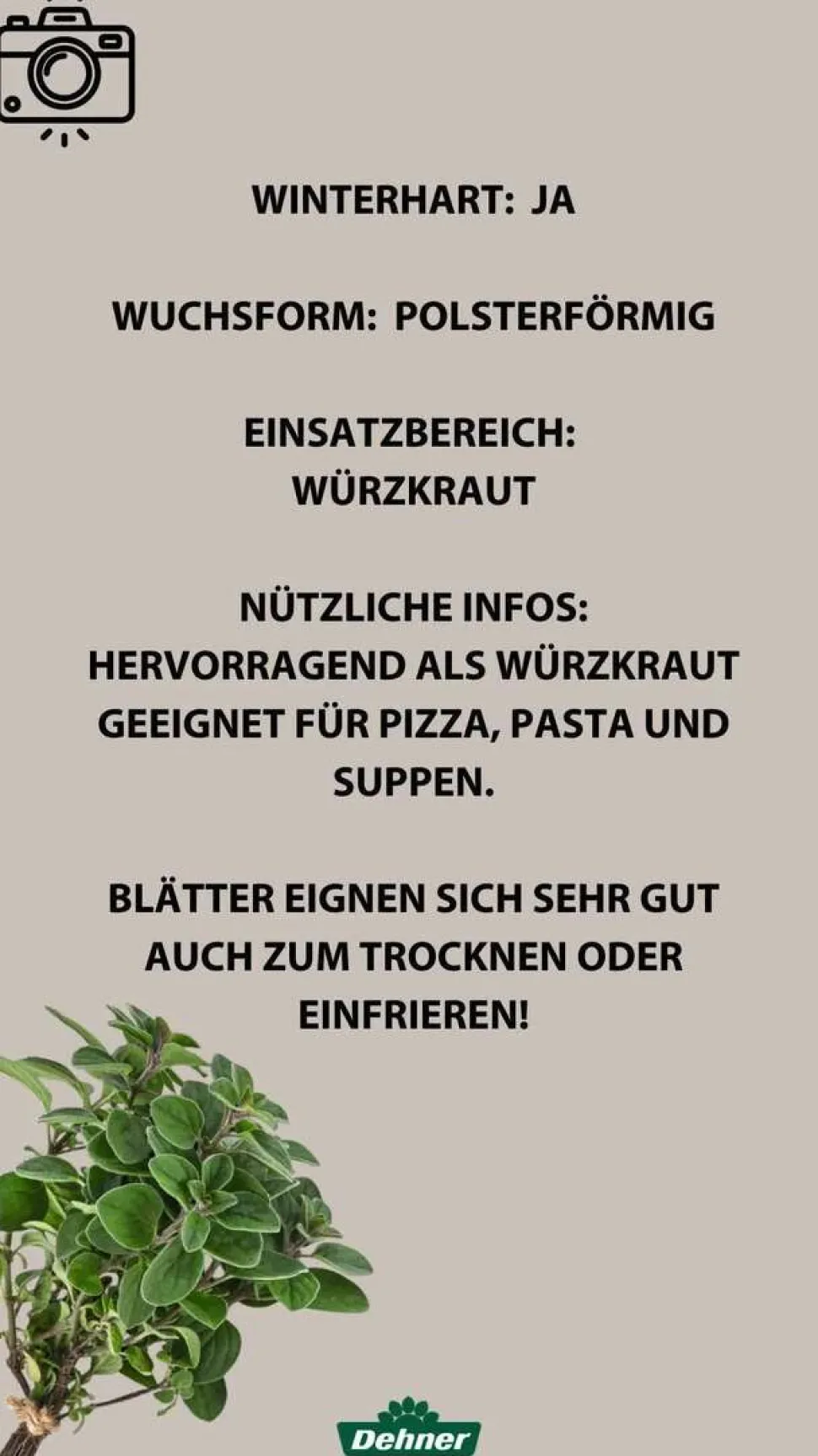 Bioland Oregano