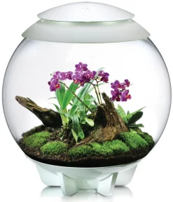 biOrb® Terrarium AIR 60