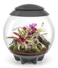 biOrb® Terrarium AIR 60