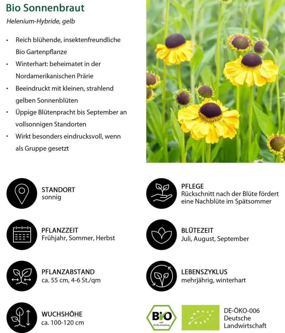 Bio Sonnenbraut, gelb