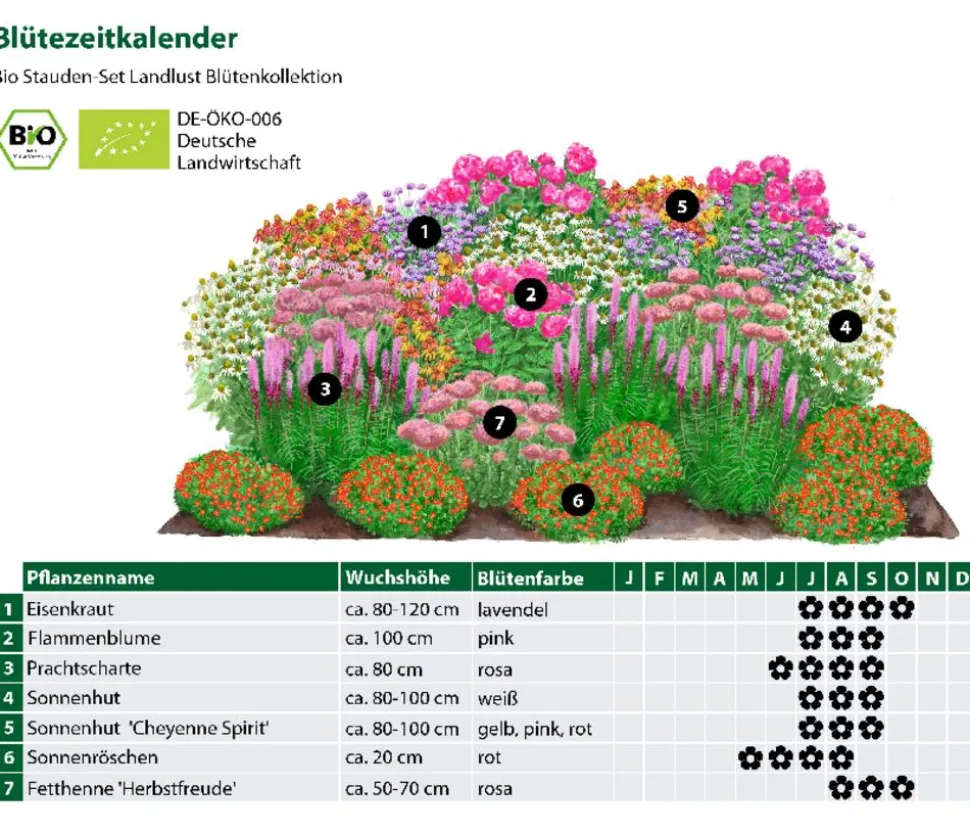 Bio Stauden-Set Blütenkollektion, Landlust Kollektion, 24-teilig
