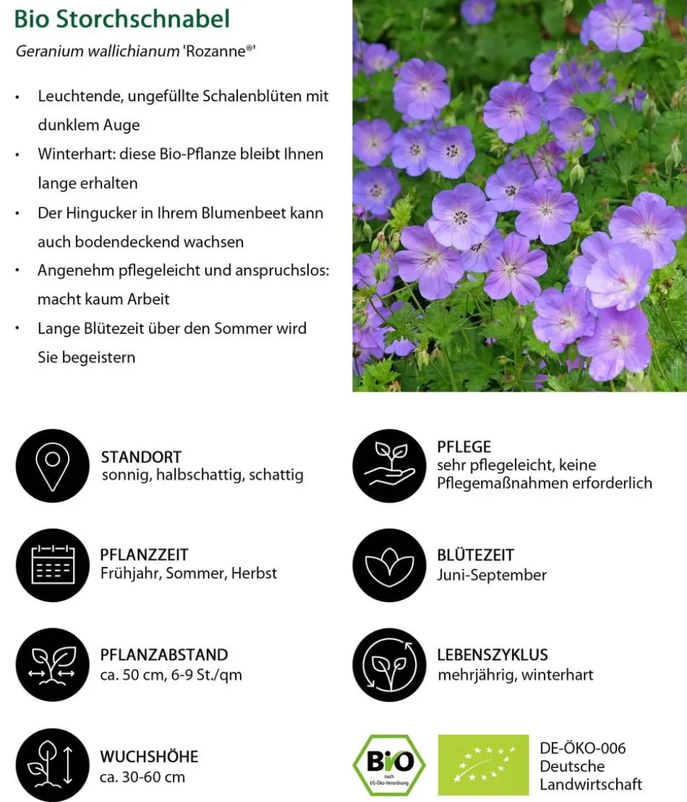 Bio Stauden-Set Es wird durchgeblüht, 24-teilig