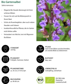 Bio Stauden-Set Insektenparadies Schmetterling, 12-teilig