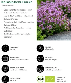 Bio Stauden-Set Rosenfreunde, Landlust Kollektion, 18-teilig