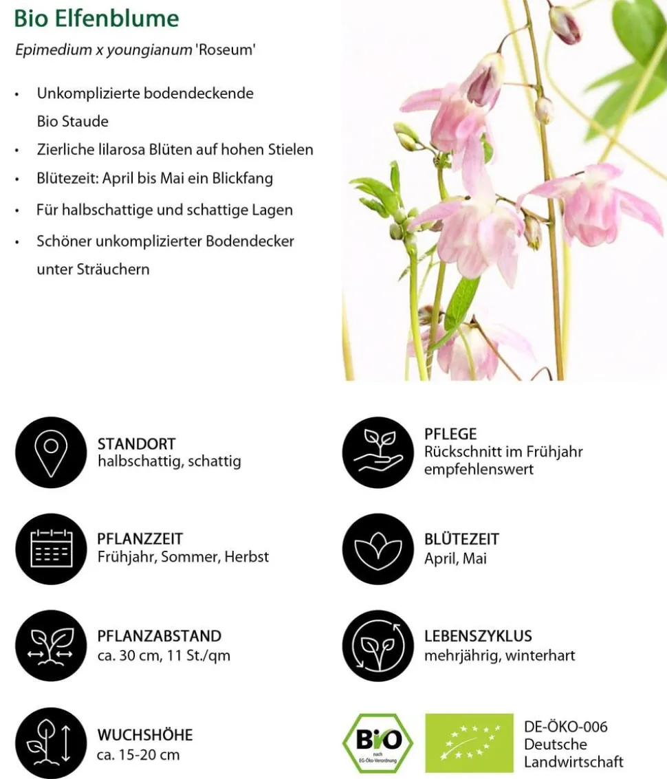Bio Stauden-Set Schattengarten Rote Akzente, 12-teilig