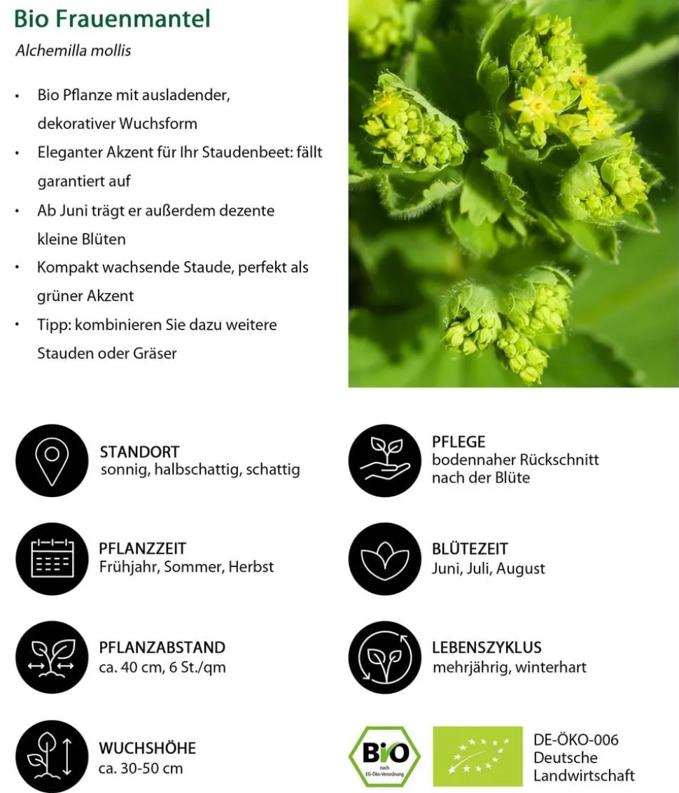 Bio Stauden-Set Schattengarten, 12-teilig