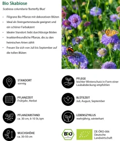 Bio Stauden-Set Sommerglück, 24-teilig
