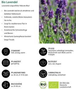 Bio Stauden-Set Weiß-blaues Gartenparadies, 24-teilig