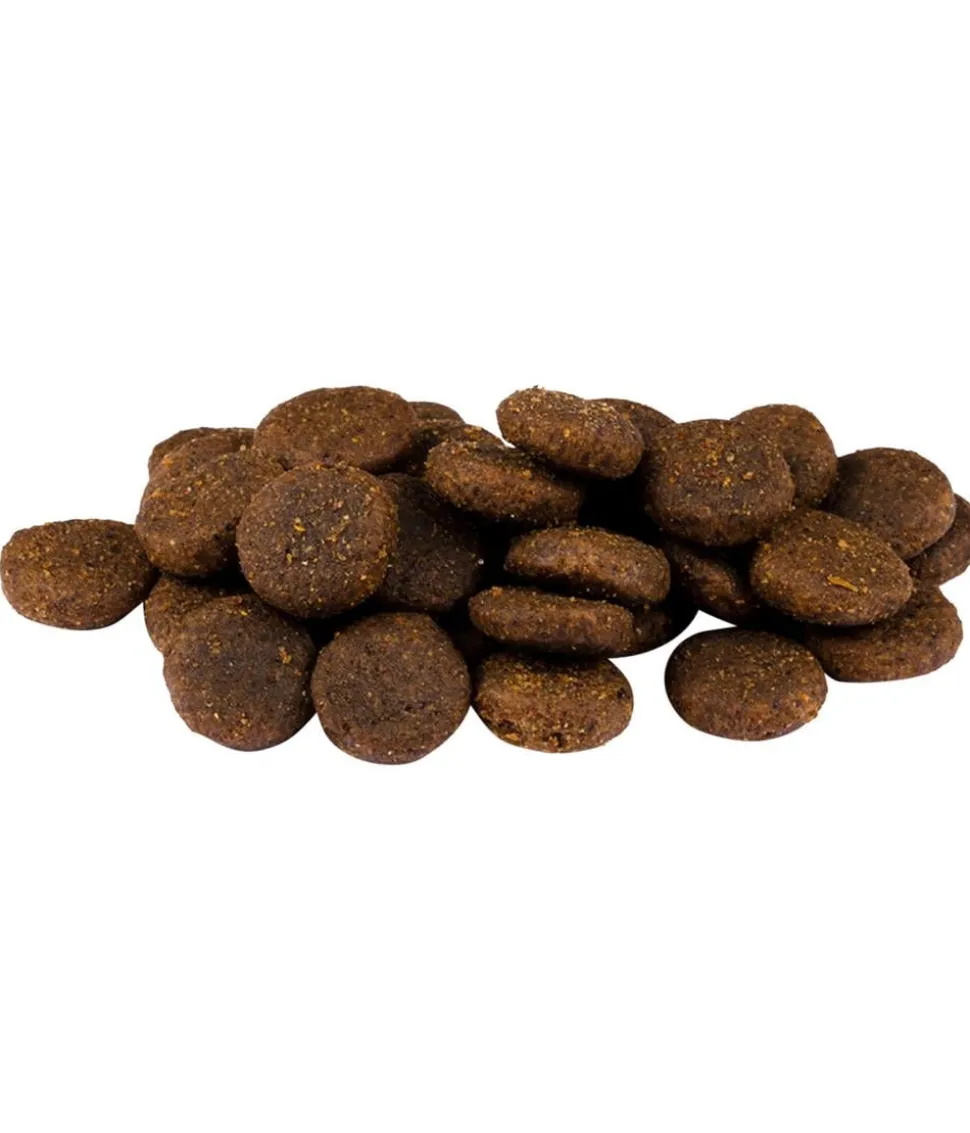 Carnilove Trockenfutter für Hunde Large Breed Adult, Lachs & Truthahn