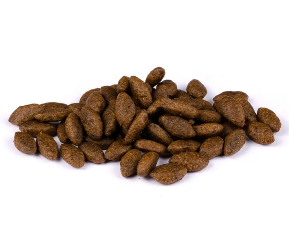 Carnilove Trockenfutter für Katzen Sensitive & Long Hair Adult, Lachs