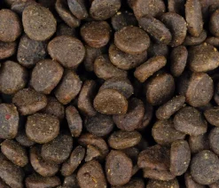 Carnilove True Fresh Trockenfutter für Hunde Welpen, Truthahn