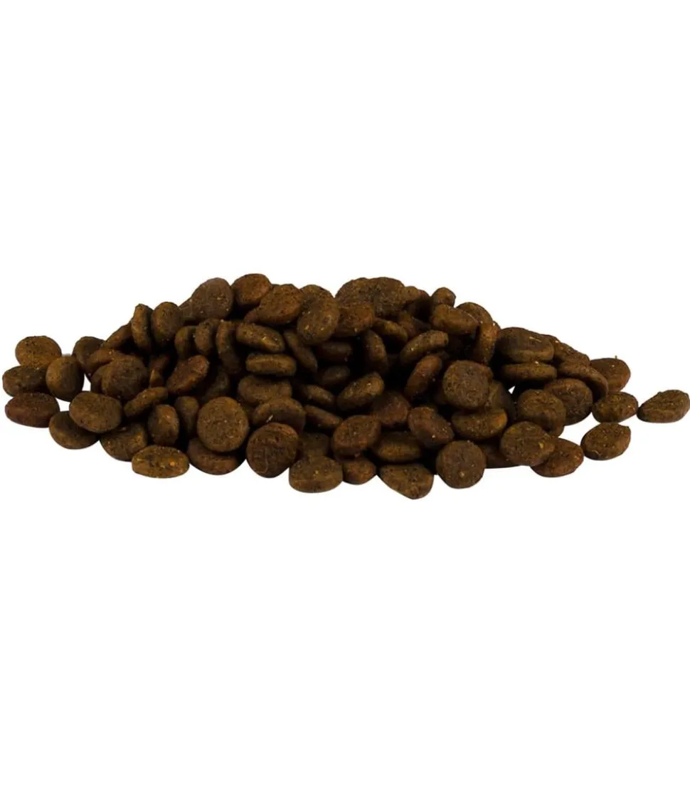 Carnilove True Fresh Trockenfutter für Hunde Small Breed Adult, Fisch