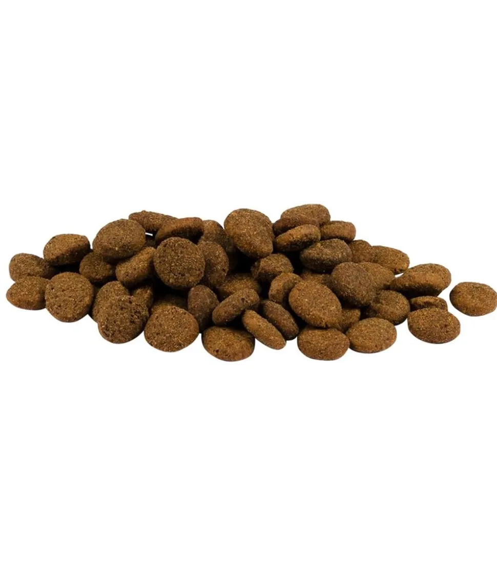 Carnilove True Fresh Trockenfutter für Hunde Senior & Healthy Weight, Huhn