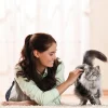 Cativia Katzensnack Katzenmilch, 24 x 95 ml