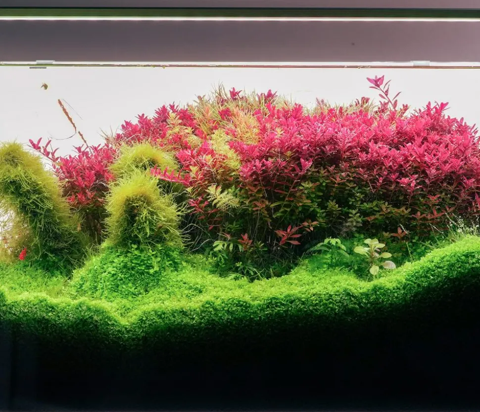 Chihiros Aquariumbeleuchtung LED-System B Serie