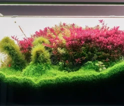 Chihiros Aquariumbeleuchtung LED-System A II Serie