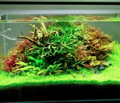Chihiros Aquariumbeleuchtung LED-System A II Serie