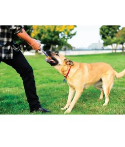 Chuckit!® Hundespielzeug Ultra Tug mit Handschlaufe