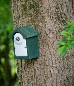CJ Wildlife WoodStone® Nistkasten Holzbeton, Einflugloch ca. Ø32 mm, grün