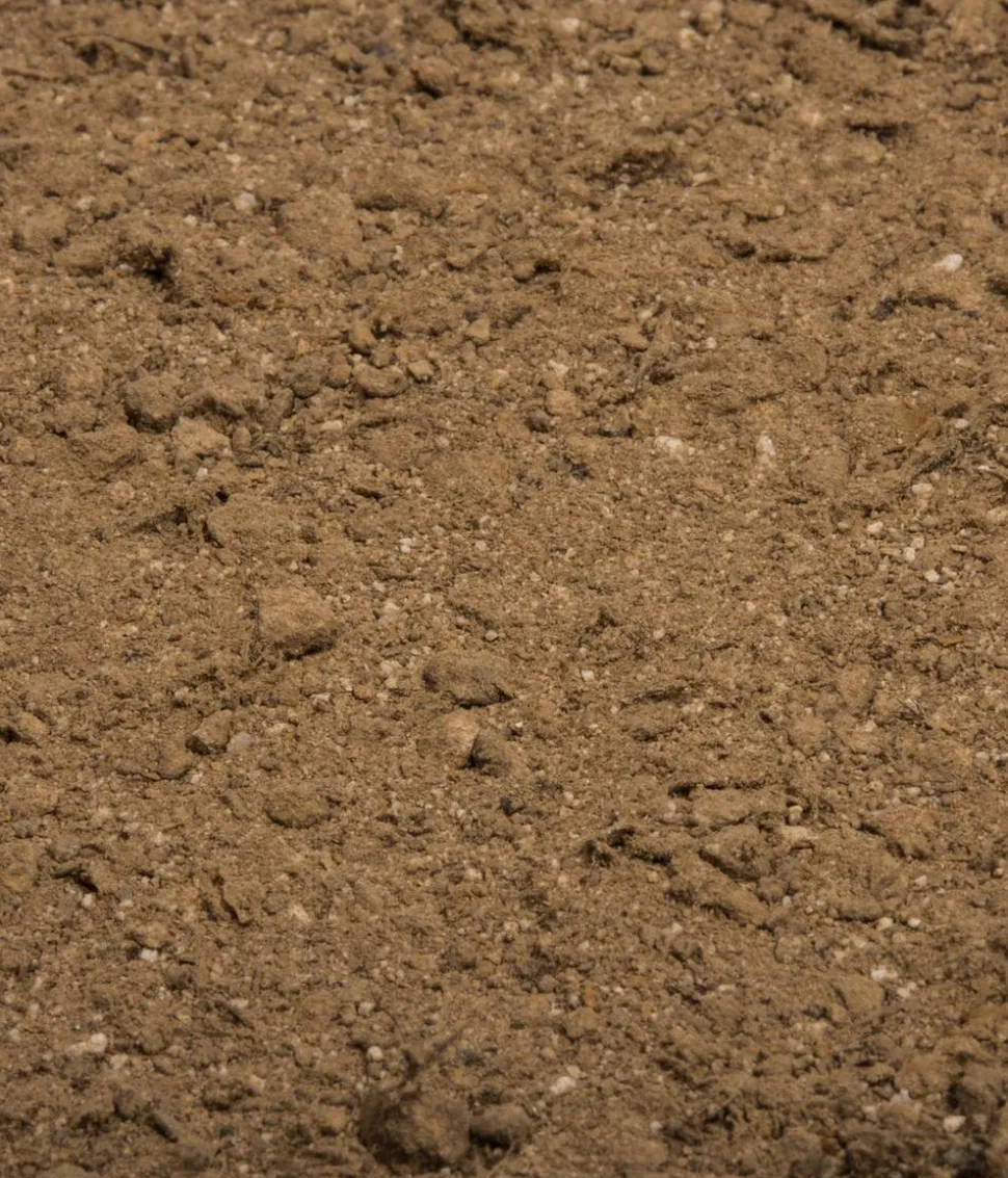 COMPO BIO Naturdünger mit Guano