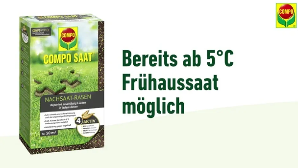 COMPO Saat® Nachsaat-Rasen