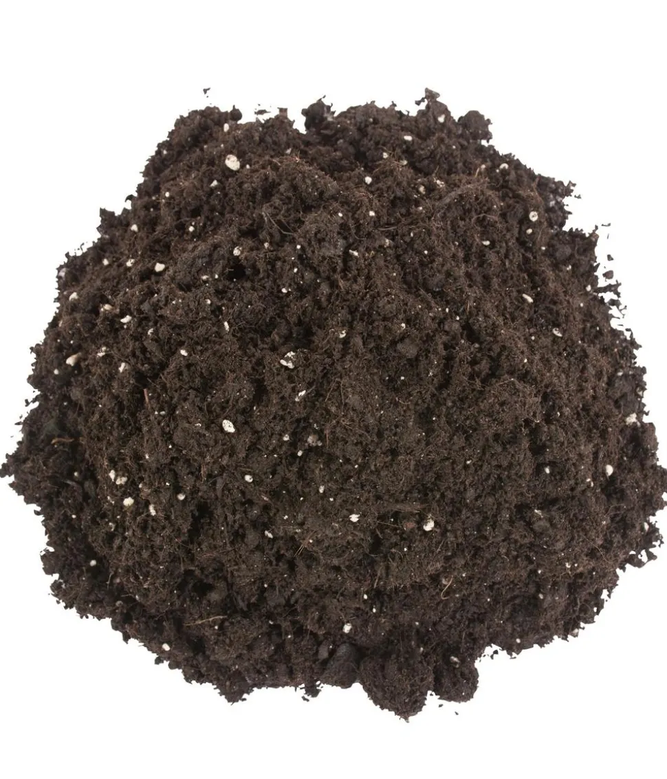 COMPO SANA® COMPACT Qualitäts-Blumenerde