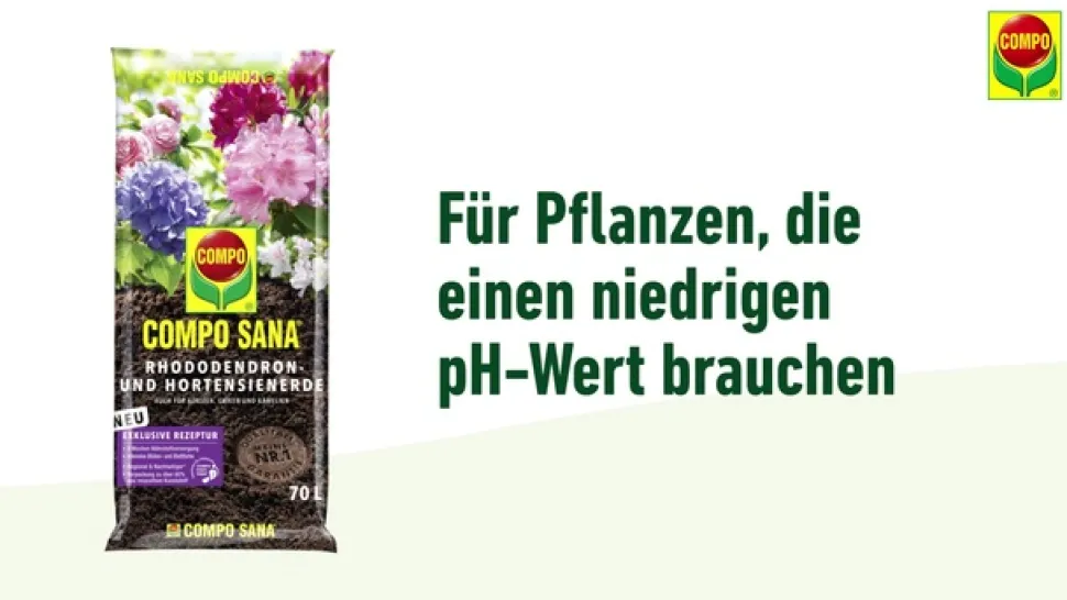COMPO SANA® Rhododendron- und Hortensienerde