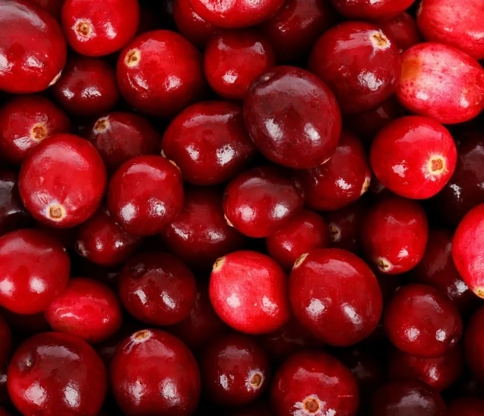 Cranberry 'Cranny'