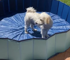 Croci Hundepool Explorer, rund, ca. Ø120/H30 cm