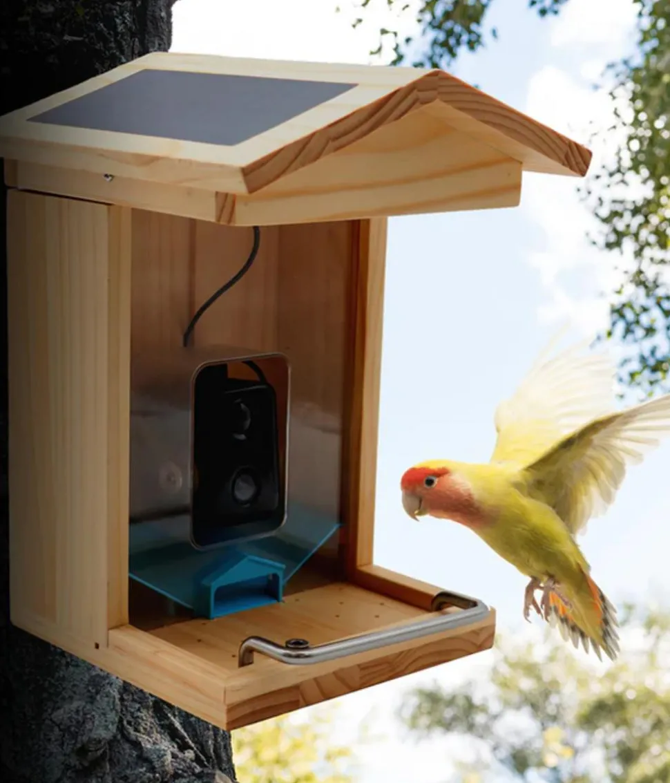 Croci Vogelfutterhaus Smart Wi-Fi, inkl. Kamera, ca. B23/H32,5/T24 cm
