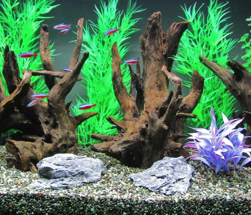 Dehner Aqua Corbo-Wurzel nano, ca. B14/H20/T12 cm
