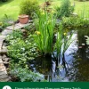 Dehner Aqua Gartenteichtorf, 10 l