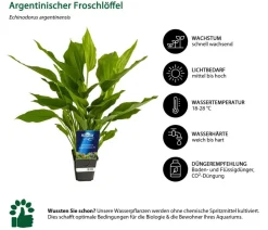 Dehner Aqua Premium Aquarienpflanzen-Set für JUWEL® AQUARIUM Lido 120 LED, 18-teilig