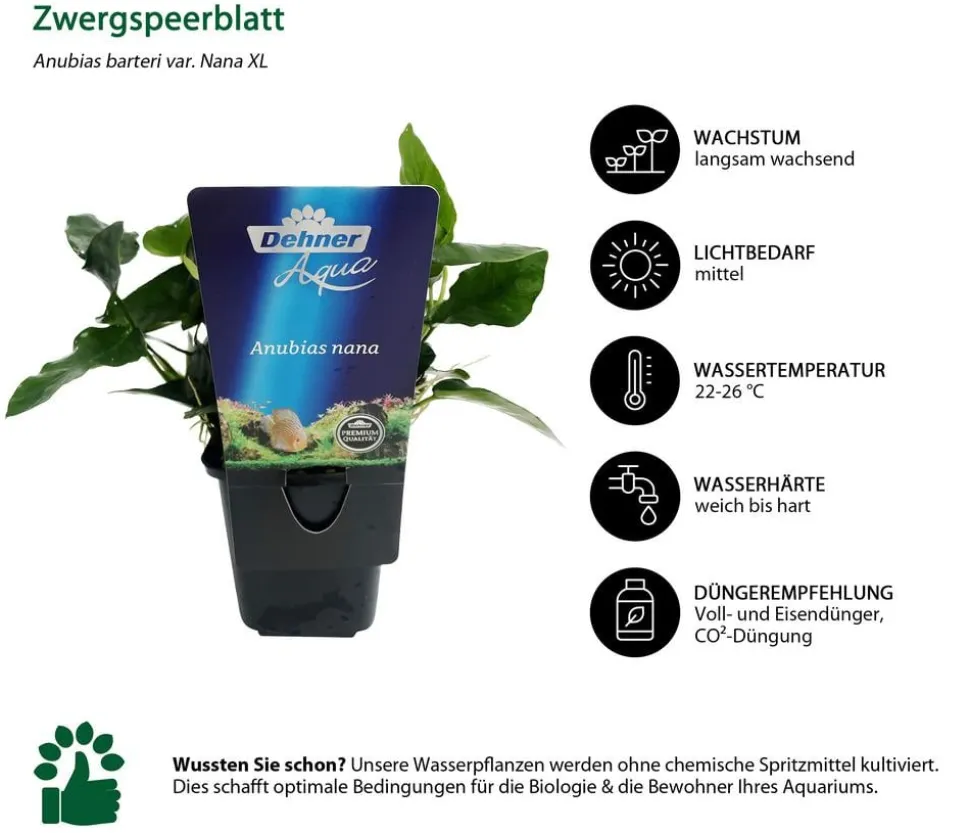 Dehner Aqua Premium Aquarienpflanzen-Set für Dehner Aqua Premium ProLine 100, 31-teilig