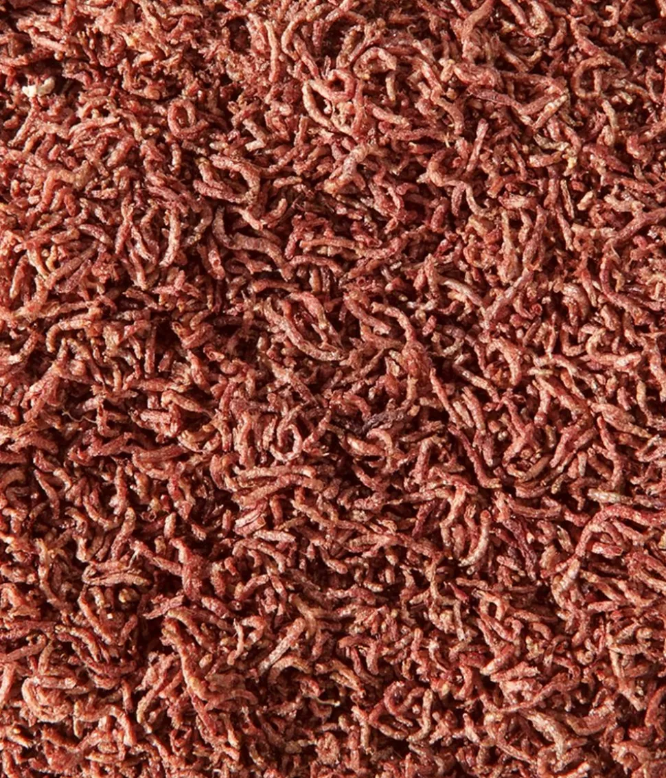 Dehner Aqua Rote Mückenlarven